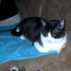 tolkenlovebug92308 tolkenlovebug92308