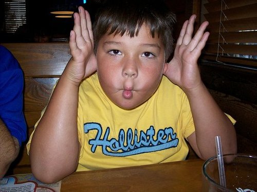 I want some more lemon chicken!