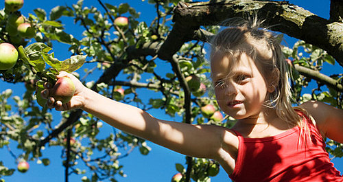 Kid-Friendly Apple Recipes
