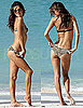 Pictures of Alessandra Bikini