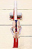 Pictures From Women's Gymnastics at 2010 Commonwealth Games
