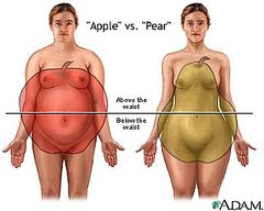 Genetics Linked to Body Shape and Fake Food Pill Developed
