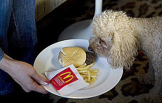 Happy Meal Project and Sally Davies' Dog