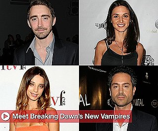 Sugar Shout Out: Get Familiar With Breaking Dawn's New Players