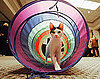 Tunnels For Dogs and Cats