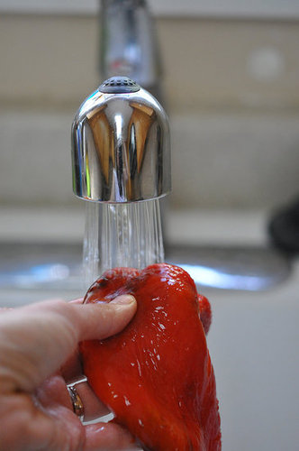 Rinse the peppers in the cool water.
Rinse the peppers in the cool water.
