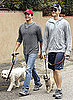Pictures of Neil Patrick Harris and David Burtka Walking Their Dogs in Studio City, CA