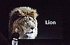 Mac OS X Lion Screenshots
