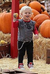 Celebrities flock to Mr Bones Pumpkin Patch