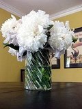 Borrowed Peonies.