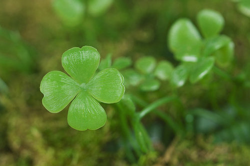 Do Lucky Charms Help?