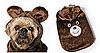 Dog Halloween Costumes For Any Day