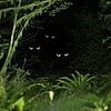 Scary Video Games For Halloween