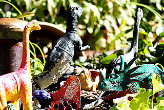 Facts About Dinosaurs