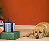How Much Should I Buy My Dog For Christmas?
