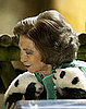 Madrid's Baby Pandas Greet the Queen
