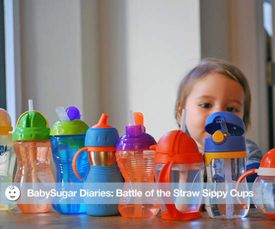 Reviews of Straw Sippy Cups Reviews of Straw Sippy Cups
