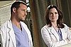 Grey's Anatomy Recap "Something's Gotta Give" Episode