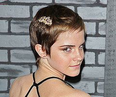 Picture of Emma Watson Wearing a Gold Hair Comb Accessory