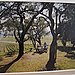 Winery design: Scribe, Sonoma