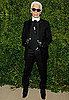 Karl Lagerfeld on Kate Middleton and Bookies Weigh in on Wedding Dress Designer 2010-11-18 02:15:36