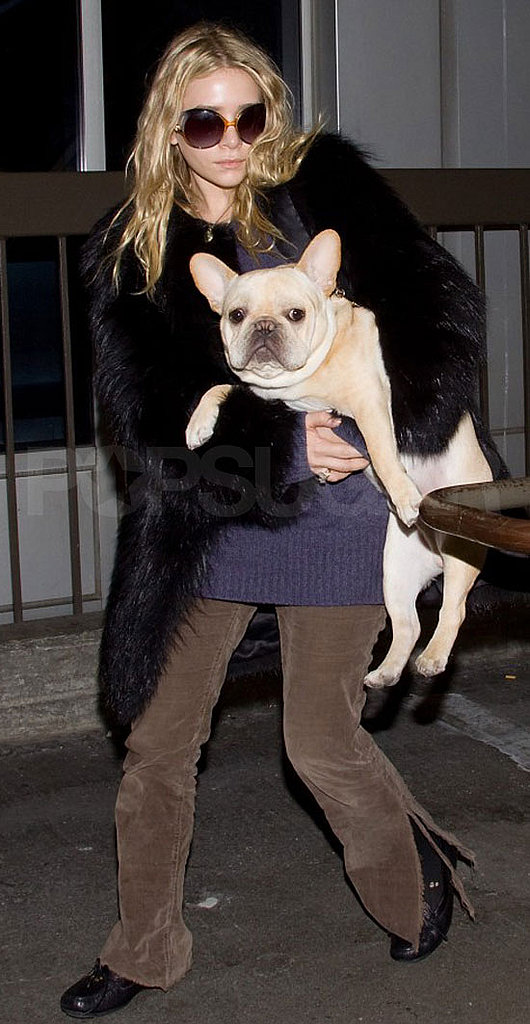Pictures of Mary-Kate and Ashley Olsen at LAX Pictures of Mary-Kate and Ashley Olsen at LAX