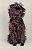 Affenpinscher Breed Facts