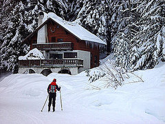 Muscles Used in Common Winter Sports