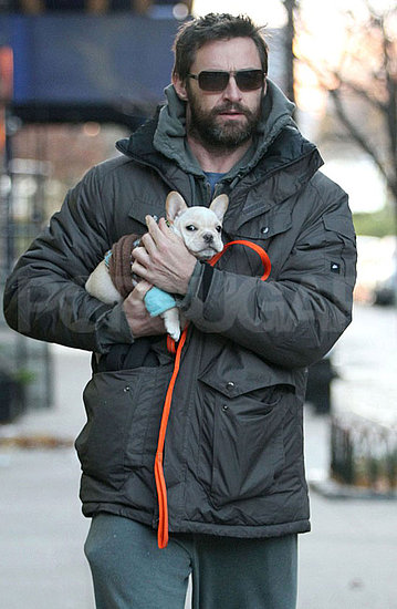 Pictures of Hugh with Puppy Pictures of Hugh with Puppy