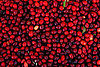 What to Do With Fresh Cranberries