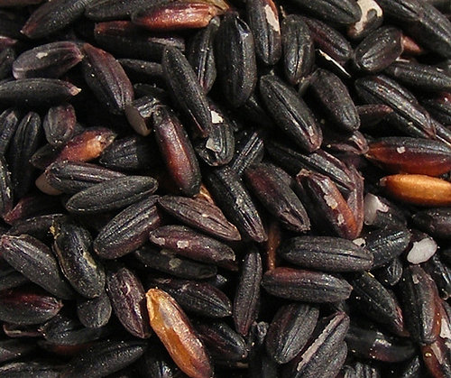 Health Benefits of Black Rice