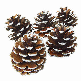 How to Dry Pinecones For Christmas Decorations