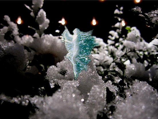 (turquoise)
