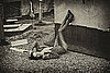 Long Legs Are Not Perceived as Attractive