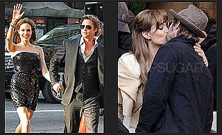 Best Pictures of Brad Pitt and Angelina Jolie of 2010