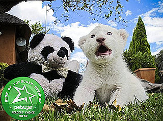 Zoo Animals Born in 2010