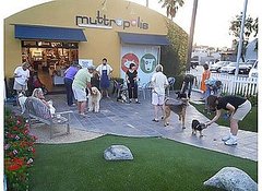 Looking for Pup Events in Southern California?