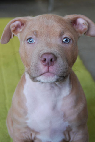 Oliver's Baby Picture 