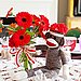 Gerber Daisy Centerpiece