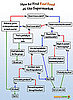 How to Find Real Food at the Supermarket Chart