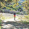 How to Start Running: Galloway Method
