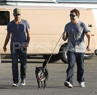 Pictures of Javier Bardem and Penelope Cruz's Brother Walking Dog