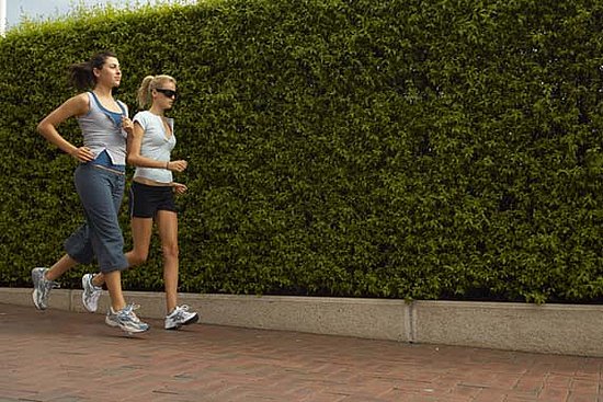 FitOrbit