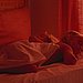 Is/Was Your Child a Light Sleeper?