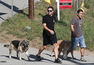 Pictures of Jake Gyllenhaal Walking His Dogs in LA