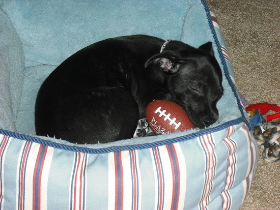 TouchDown!!