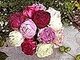 Paintings or Items with Peony flowers on it... Paintings or Items with Peony flowers on it...