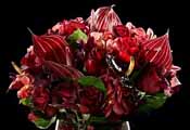Flowers For Valentine's Day at Worship Luxury, Bloom Flowers, and More