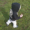 Keeping Track of the Funny Things Kids Say
