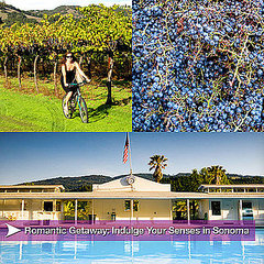 Travel Tips For Sonoma, California Travel Tips For Sonoma, California